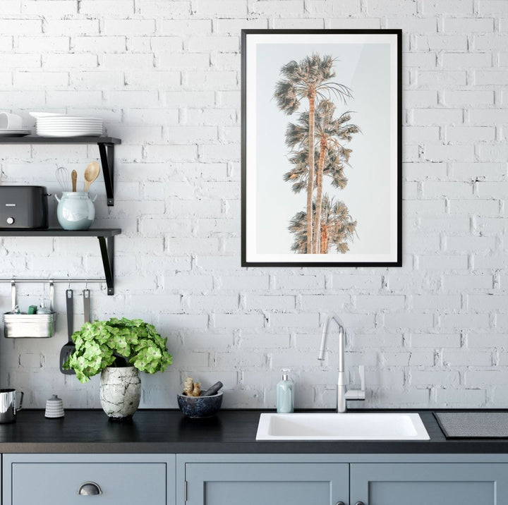 Palm Study IV - Coastal Photographic Art / Stretched Canvas Print - I Heart Wall Art - Poster Print, Canvas Print or Framed Art Print
