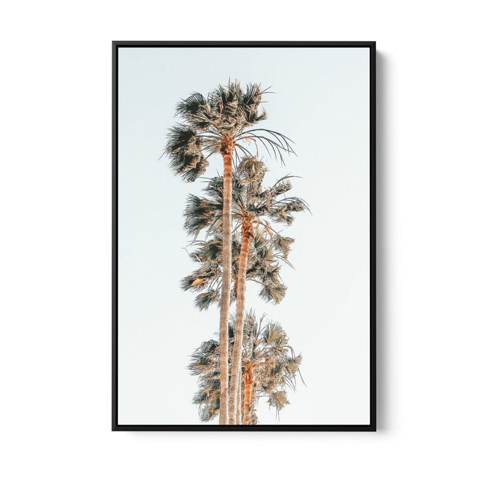 Palm Study IV - Coastal Photographic Art / Stretched Canvas Print - I Heart Wall Art - Poster Print, Canvas Print or Framed Art Print