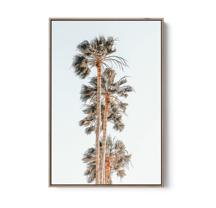 Palm Study IV - Coastal Photographic Art / Stretched Canvas Print - I Heart Wall Art - Poster Print, Canvas Print or Framed Art Print