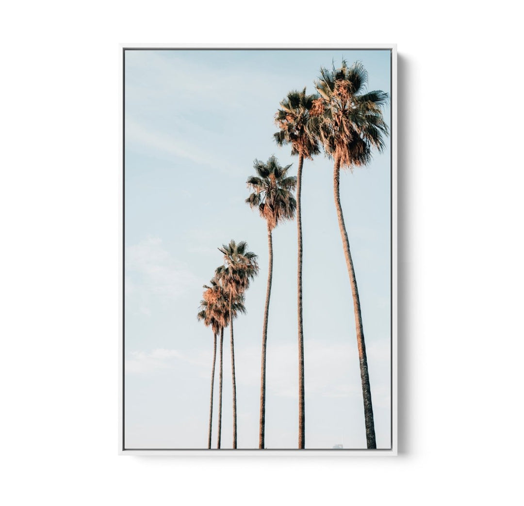 Palm Study IX - Coastal Photographic Art / Stretched Canvas Print - I Heart Wall Art - Poster Print, Canvas Print or Framed Art Print