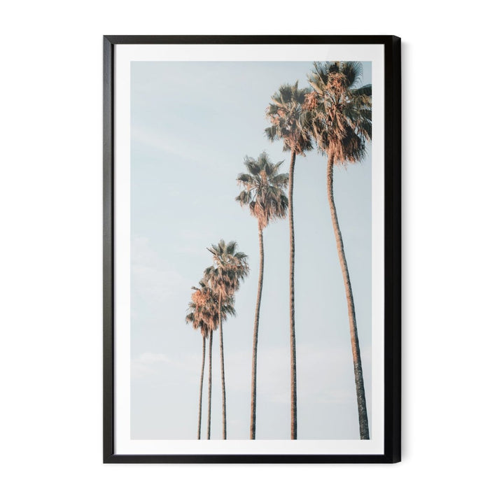 Palm Study IX - Coastal Photographic Art / Stretched Canvas Print - I Heart Wall Art - Poster Print, Canvas Print or Framed Art Print