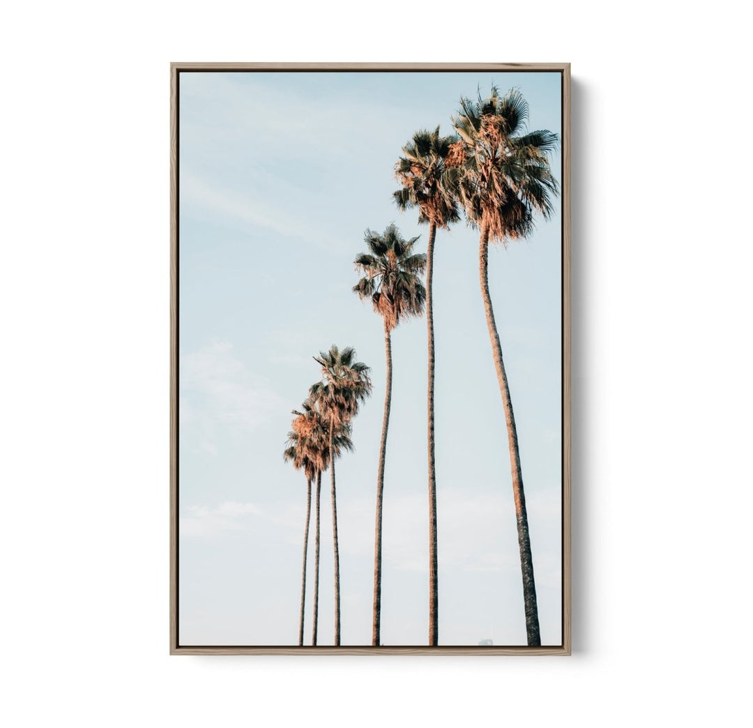 Palm Study IX - Coastal Photographic Art / Stretched Canvas Print - I Heart Wall Art - Poster Print, Canvas Print or Framed Art Print