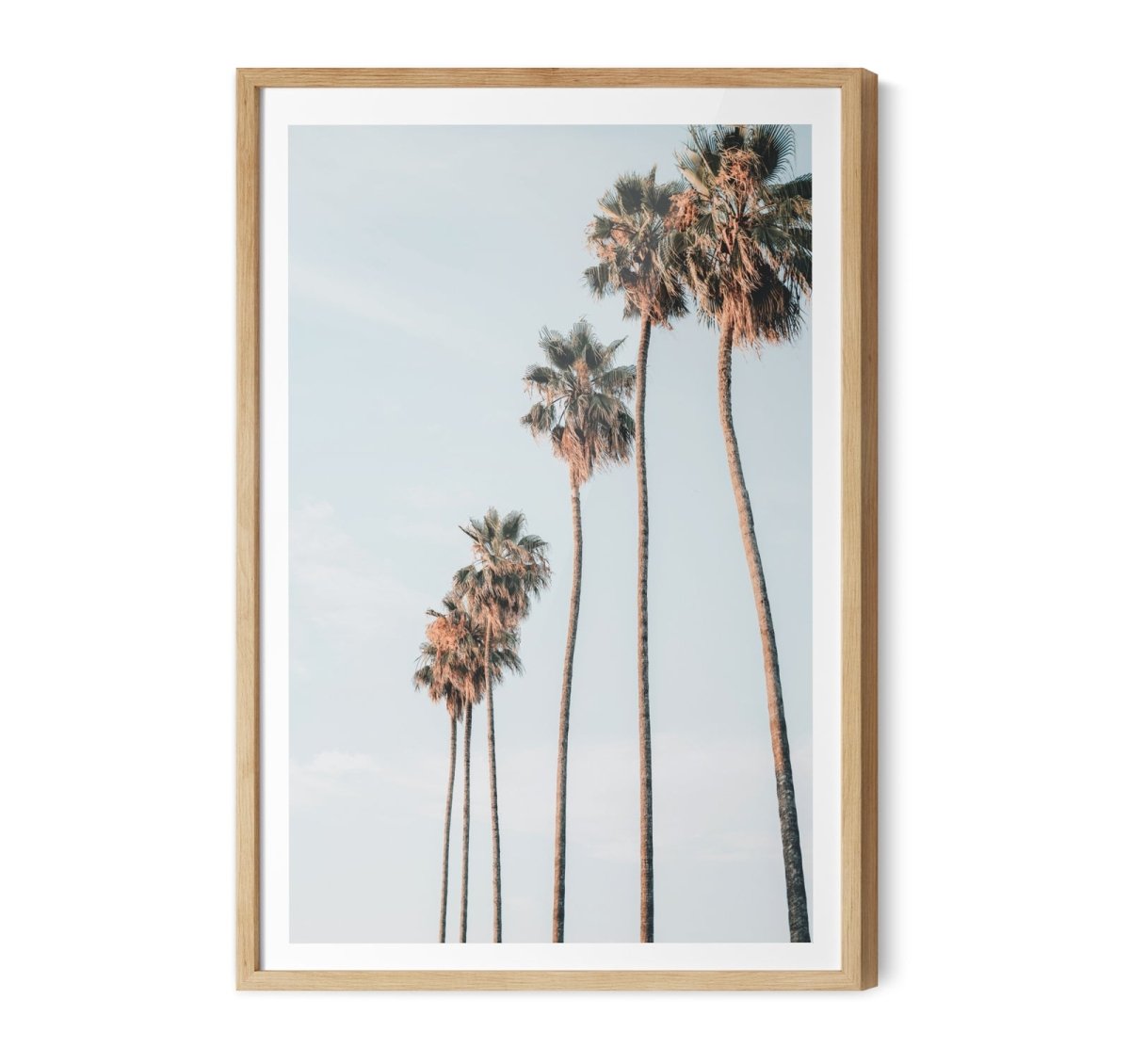Palm Study IX - Coastal Photographic Art / Stretched Canvas Print - I Heart Wall Art - Poster Print, Canvas Print or Framed Art Print
