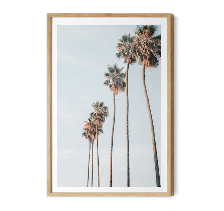 Palm Study IX - Coastal Photographic Art / Stretched Canvas Print - I Heart Wall Art - Poster Print, Canvas Print or Framed Art Print