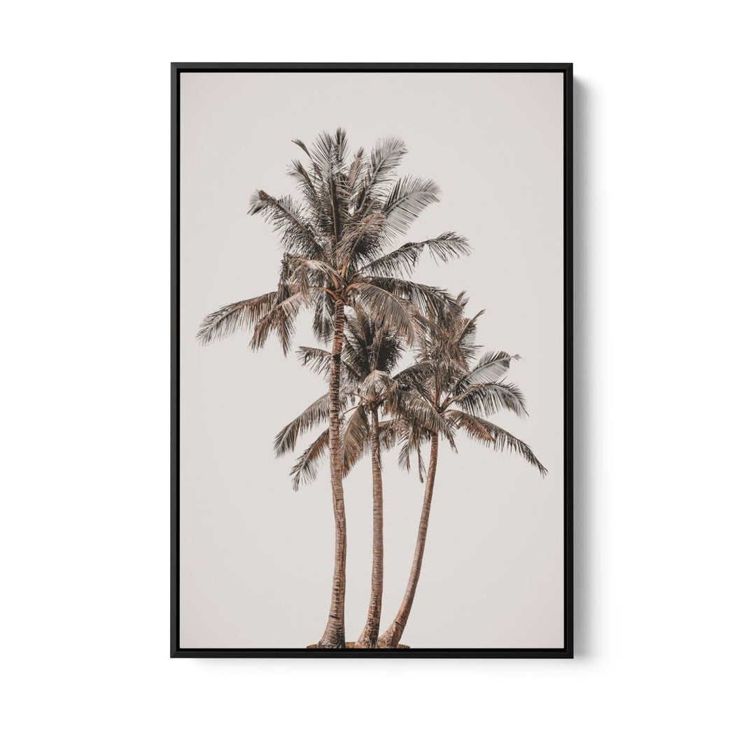 Palm Study V - Coastal Photographic Art / Stretched Canvas Print - I Heart Wall Art - Poster Print, Canvas Print or Framed Art Print