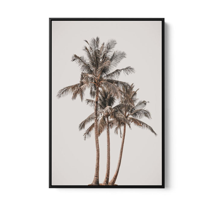 Palm Study V - Coastal Photographic Art / Stretched Canvas Print - I Heart Wall Art - Poster Print, Canvas Print or Framed Art Print