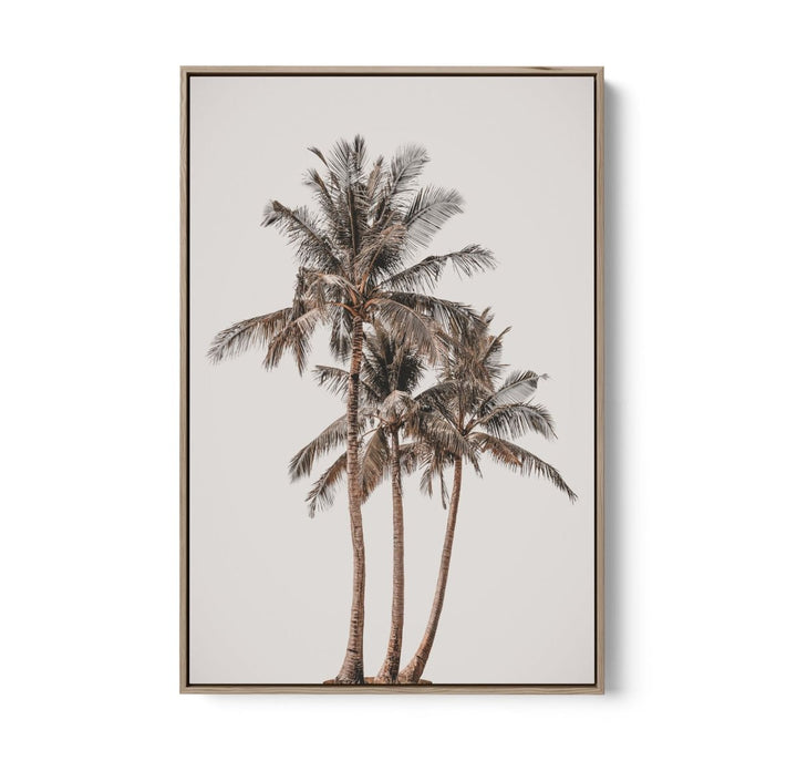 Palm Study V - Coastal Photographic Art / Stretched Canvas Print - I Heart Wall Art - Poster Print, Canvas Print or Framed Art Print