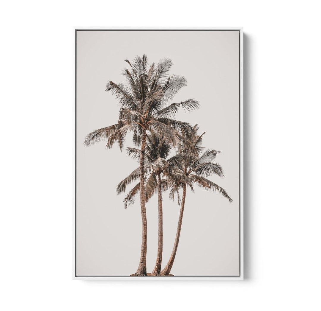 Palm Study V - Coastal Photographic Art / Stretched Canvas Print - I Heart Wall Art - Poster Print, Canvas Print or Framed Art Print
