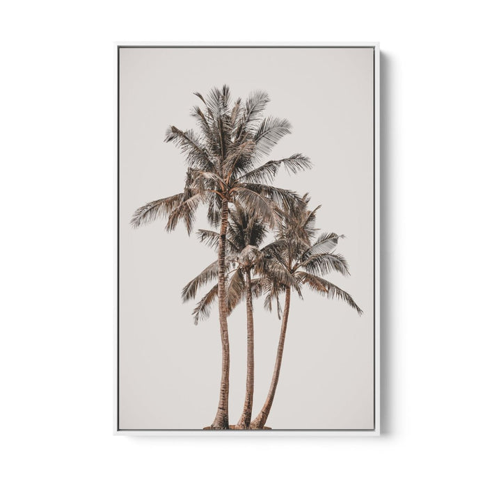 Palm Study V - Coastal Photographic Art / Stretched Canvas Print - I Heart Wall Art - Poster Print, Canvas Print or Framed Art Print