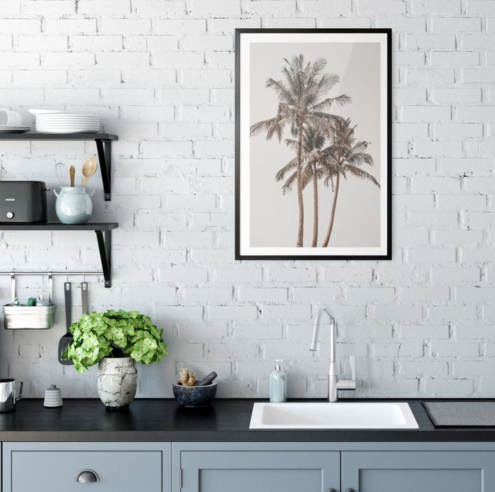 Palm Study V - Coastal Photographic Art / Stretched Canvas Print - I Heart Wall Art - Poster Print, Canvas Print or Framed Art Print