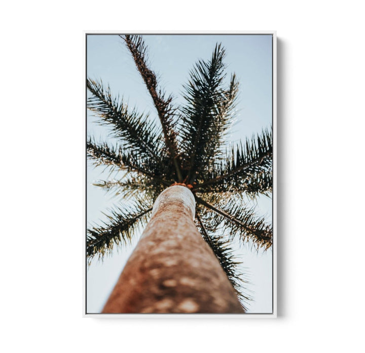 Palm Study VI - Coastal Photographic Art / Stretched Canvas Print - I Heart Wall Art - Poster Print, Canvas Print or Framed Art Print