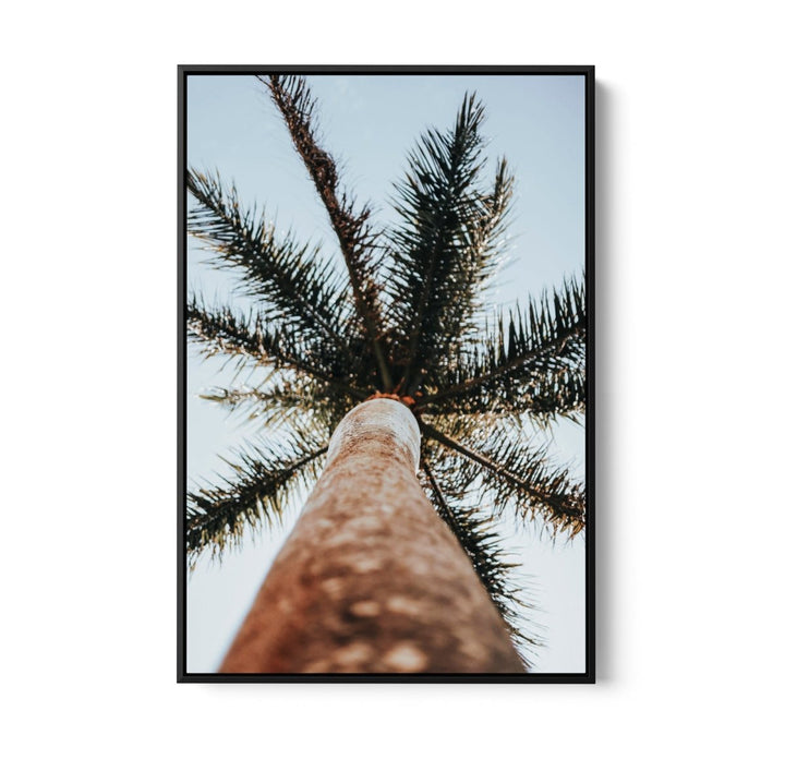 Palm Study VI - Coastal Photographic Art / Stretched Canvas Print - I Heart Wall Art - Poster Print, Canvas Print or Framed Art Print