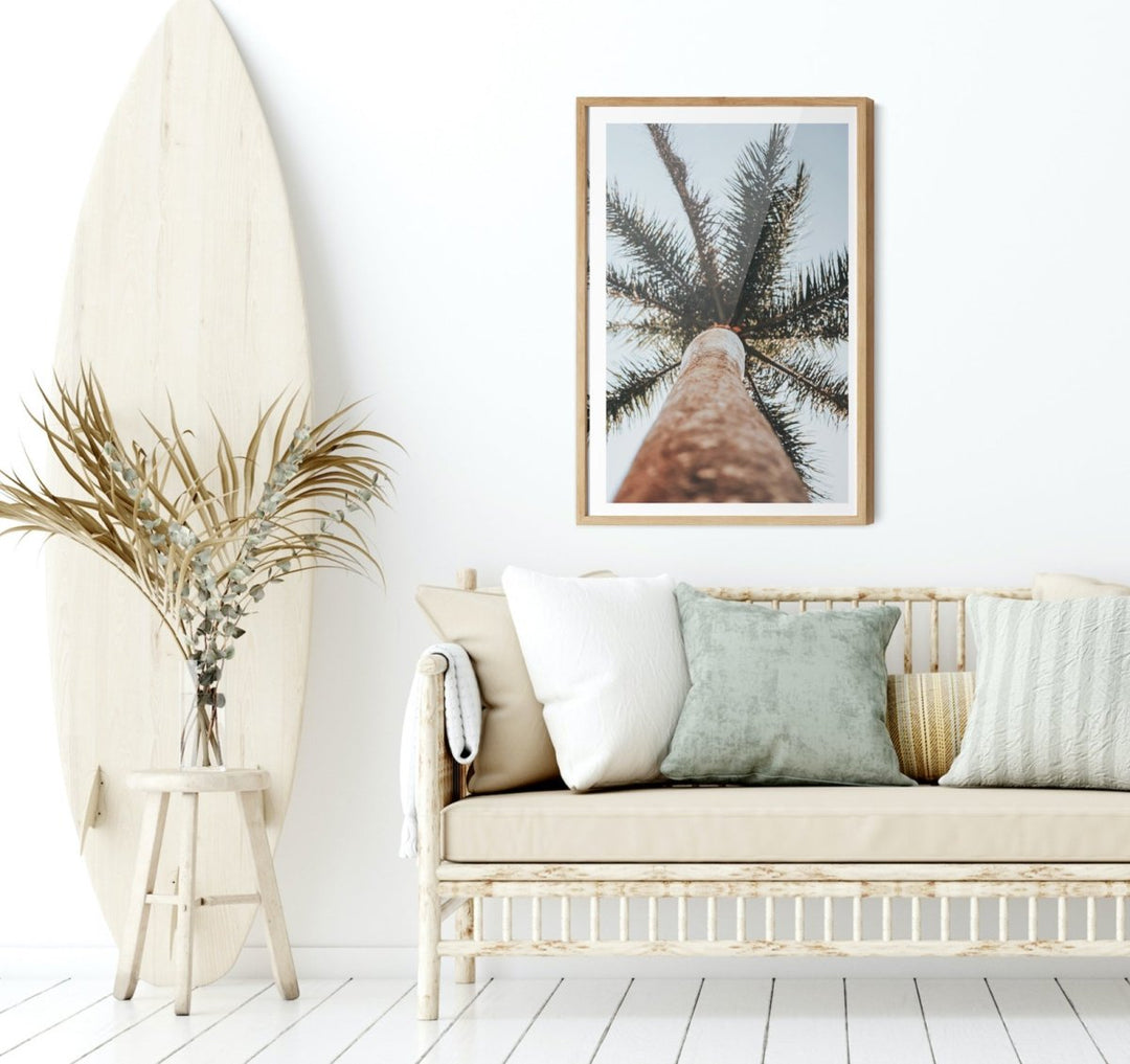 Palm Study VI - Coastal Photographic Art / Stretched Canvas Print - I Heart Wall Art - Poster Print, Canvas Print or Framed Art Print