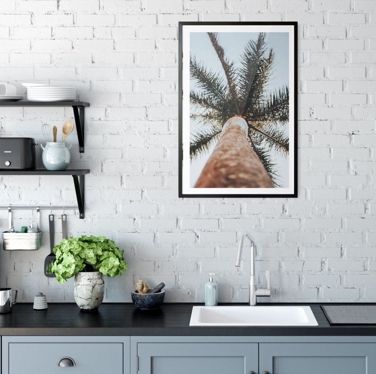 Palm Study VI - Coastal Photographic Art / Stretched Canvas Print - I Heart Wall Art - Poster Print, Canvas Print or Framed Art Print