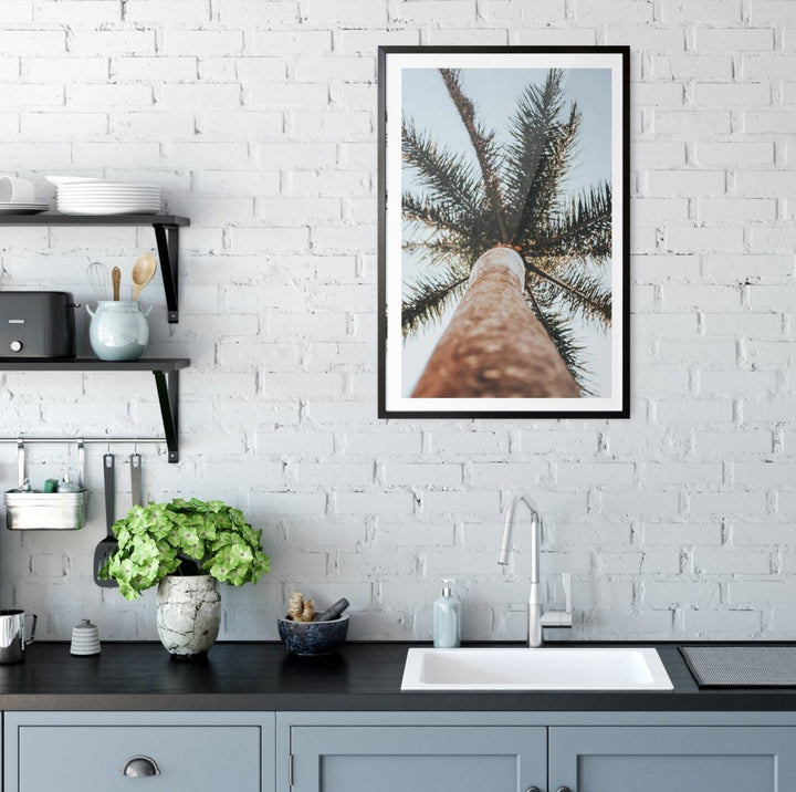 Palm Study VI - Coastal Photographic Art / Stretched Canvas Print - I Heart Wall Art - Poster Print, Canvas Print or Framed Art Print