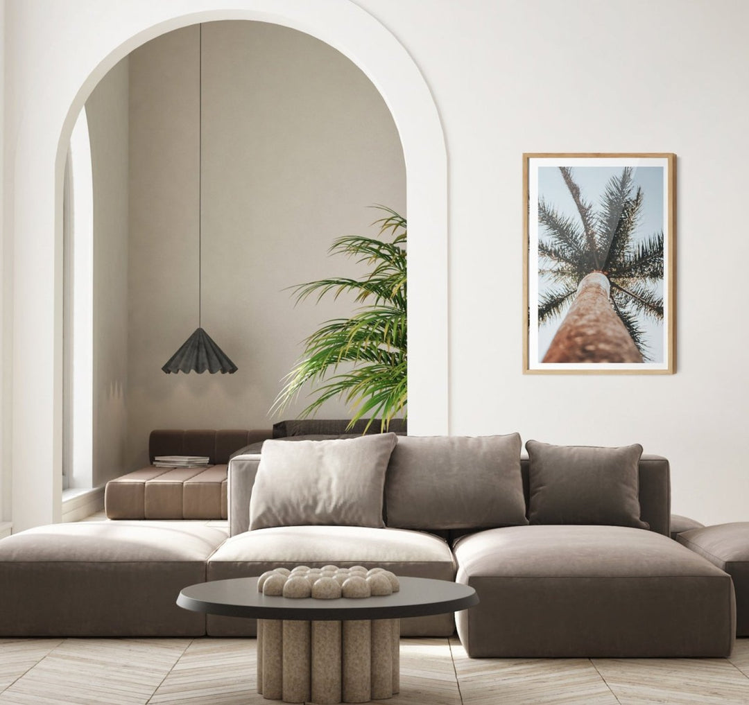 Palm Study VI - Coastal Photographic Art / Stretched Canvas Print - I Heart Wall Art - Poster Print, Canvas Print or Framed Art Print
