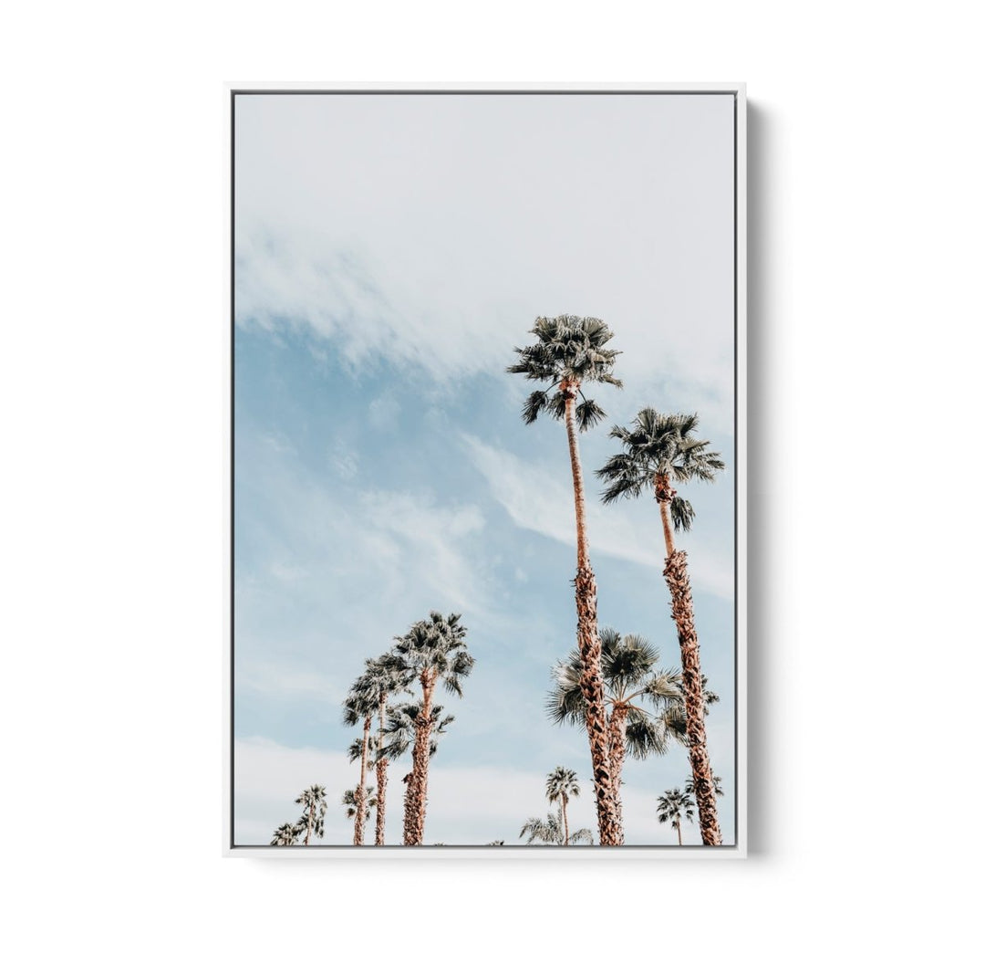 Palm Study VII - Coastal Photographic Art / Stretched Canvas Print - I Heart Wall Art - Poster Print, Canvas Print or Framed Art Print