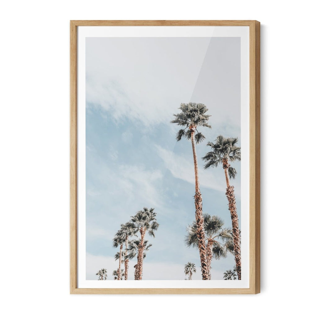 Palm Study VII - Coastal Photographic Art / Stretched Canvas Print - I Heart Wall Art - Poster Print, Canvas Print or Framed Art Print