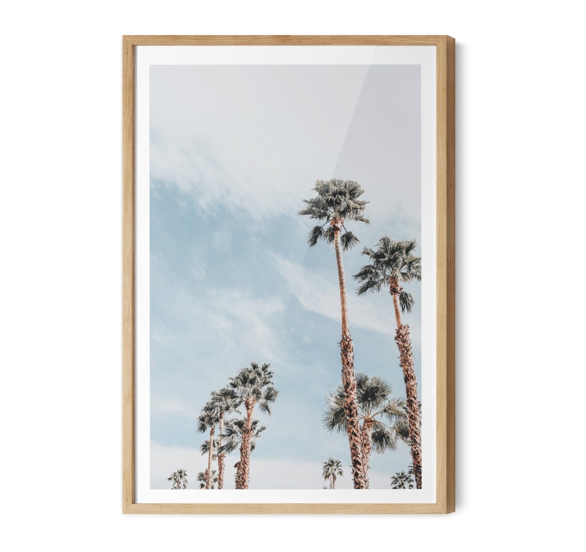 Palm Study VII - Coastal Photographic Art / Stretched Canvas Print - I Heart Wall Art - Poster Print, Canvas Print or Framed Art Print