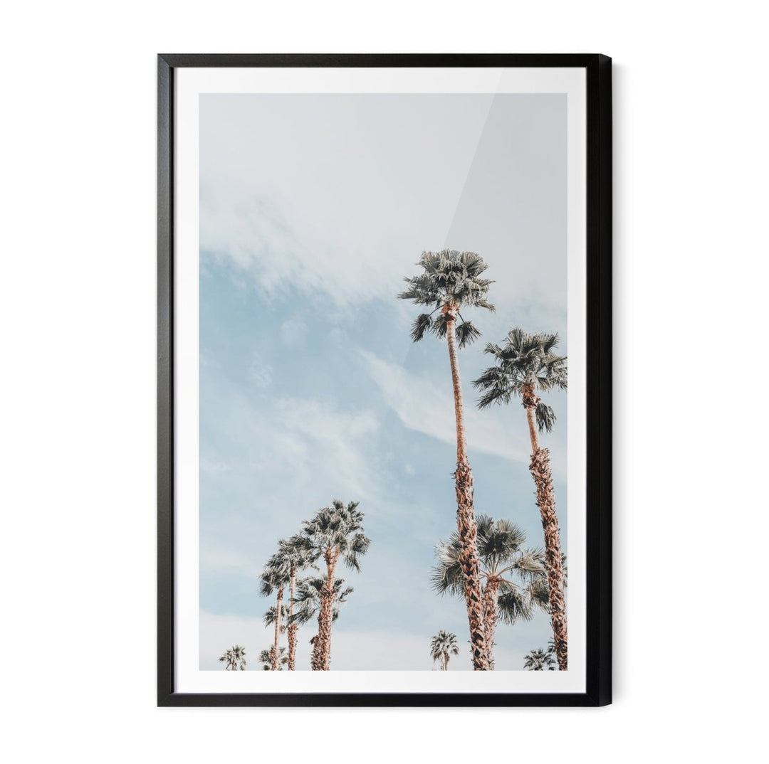 Palm Study VII - Coastal Photographic Art / Stretched Canvas Print - I Heart Wall Art - Poster Print, Canvas Print or Framed Art Print