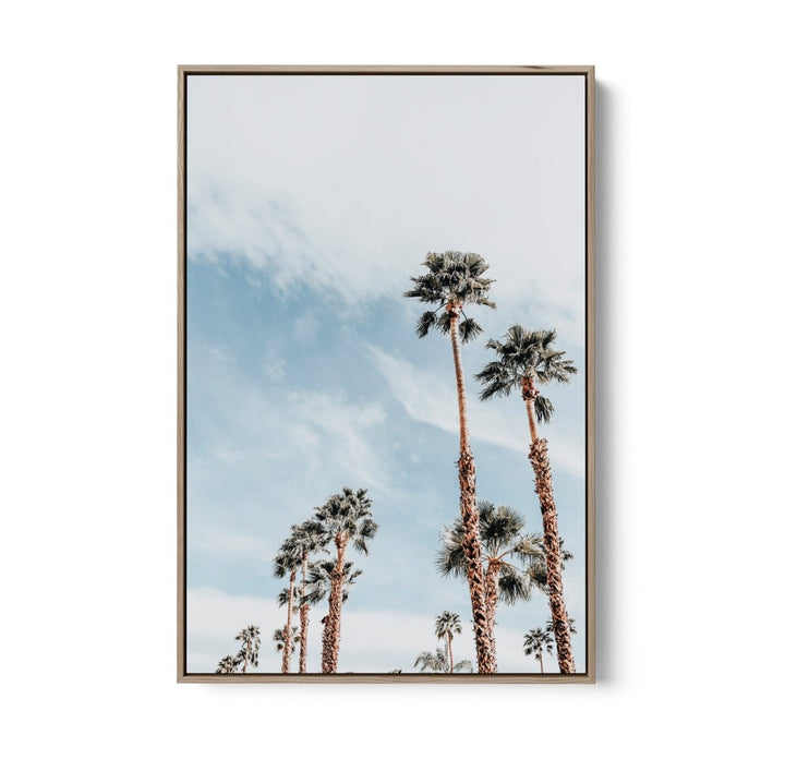 Palm Study VII - Coastal Photographic Art / Stretched Canvas Print - I Heart Wall Art - Poster Print, Canvas Print or Framed Art Print