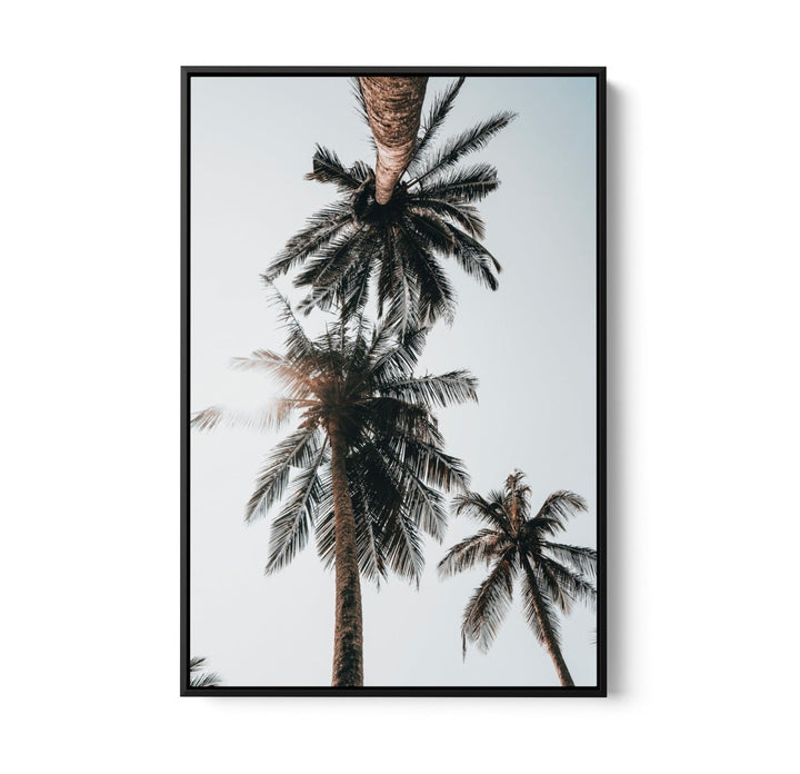 Palm Study VIII - Coastal Photographic Art / Stretched Canvas Print - I Heart Wall Art - Poster Print, Canvas Print or Framed Art Print