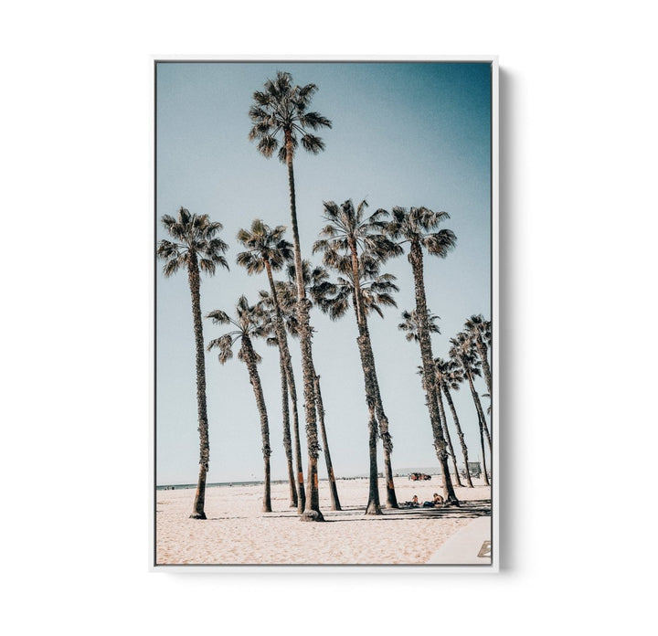 Palm Study X - Coastal Photographic Art / Stretched Canvas Print - I Heart Wall Art - Poster Print, Canvas Print or Framed Art Print
