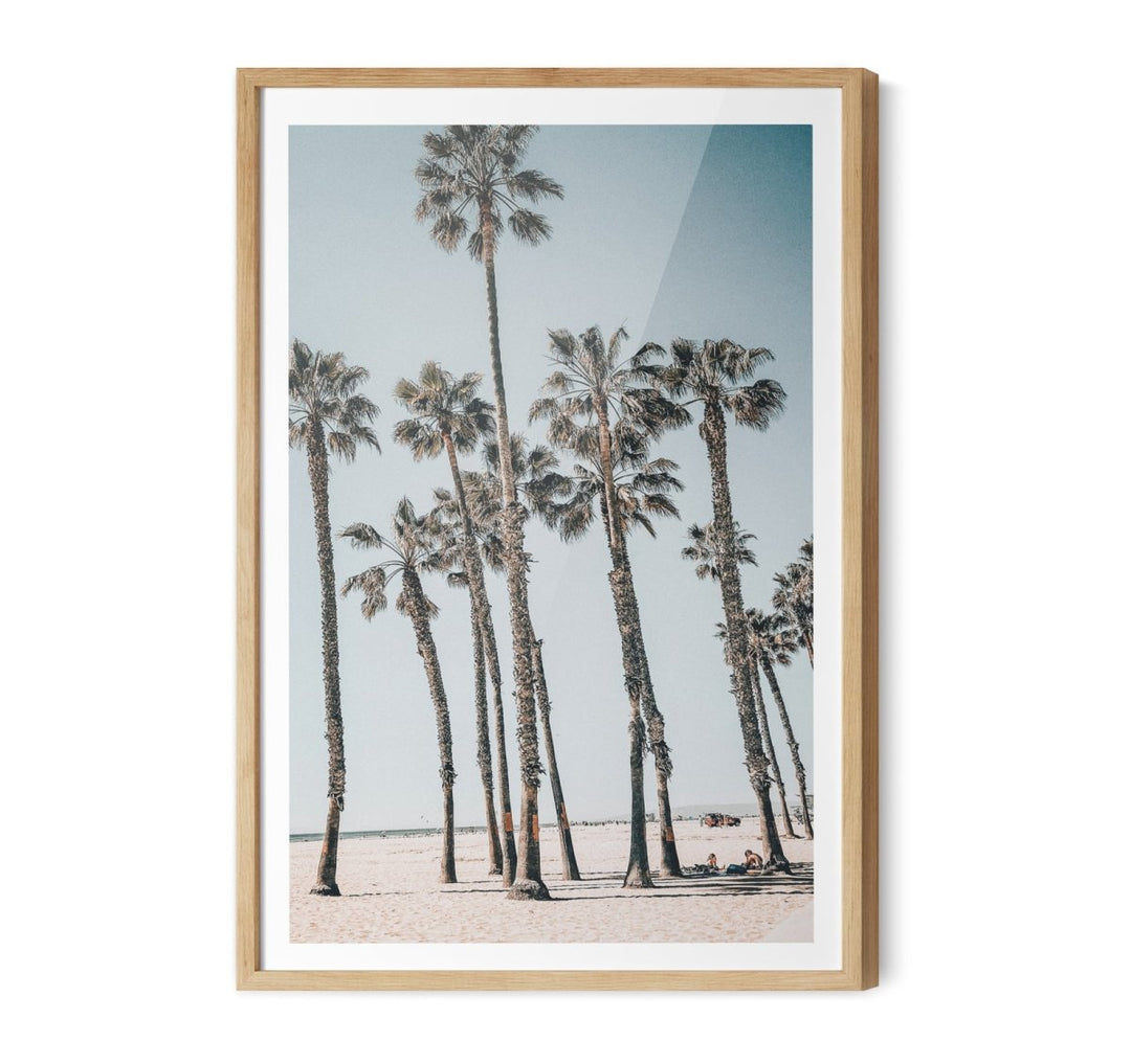 Palm Study X - Coastal Photographic Art / Stretched Canvas Print - I Heart Wall Art - Poster Print, Canvas Print or Framed Art Print