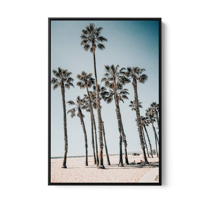 Palm Study X - Coastal Photographic Art / Stretched Canvas Print - I Heart Wall Art - Poster Print, Canvas Print or Framed Art Print