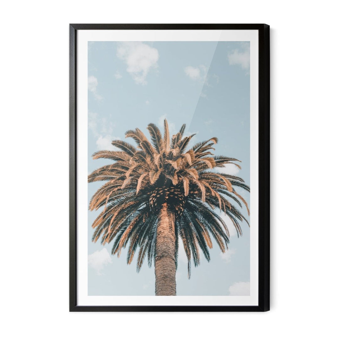 Palm Study XI - Coastal Photographic Art / Stretched Canvas Print - I Heart Wall Art - Poster Print, Canvas Print or Framed Art Print