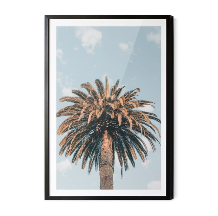 Palm Study XI - Coastal Photographic Art / Stretched Canvas Print - I Heart Wall Art - Poster Print, Canvas Print or Framed Art Print