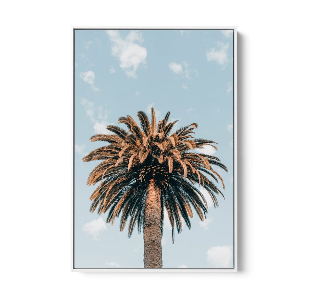 Palm Study XI - Coastal Photographic Art / Stretched Canvas Print - I Heart Wall Art - Poster Print, Canvas Print or Framed Art Print