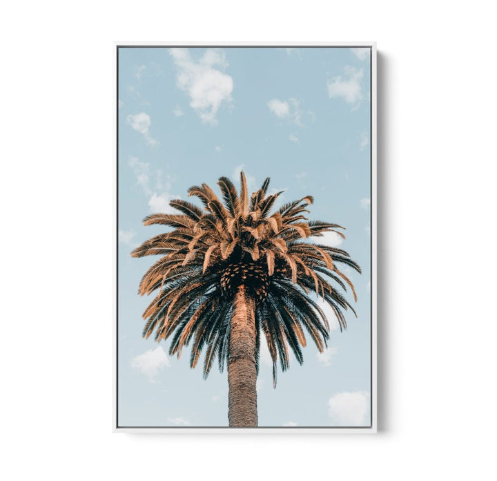Palm Study XI - Coastal Photographic Art / Stretched Canvas Print - I Heart Wall Art - Poster Print, Canvas Print or Framed Art Print