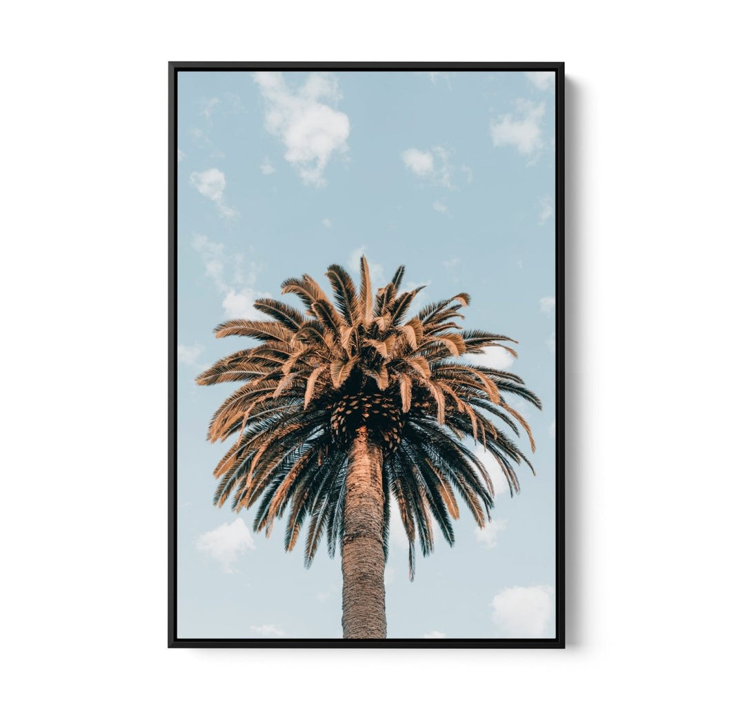 Palm Study XI - Coastal Photographic Art / Stretched Canvas Print - I Heart Wall Art - Poster Print, Canvas Print or Framed Art Print