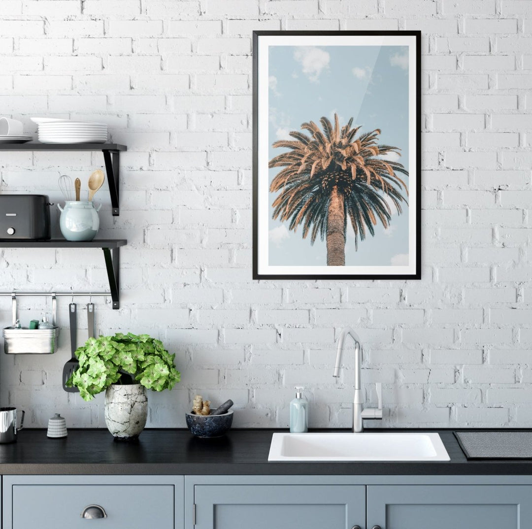 Palm Study XI - Coastal Photographic Art / Stretched Canvas Print - I Heart Wall Art - Poster Print, Canvas Print or Framed Art Print