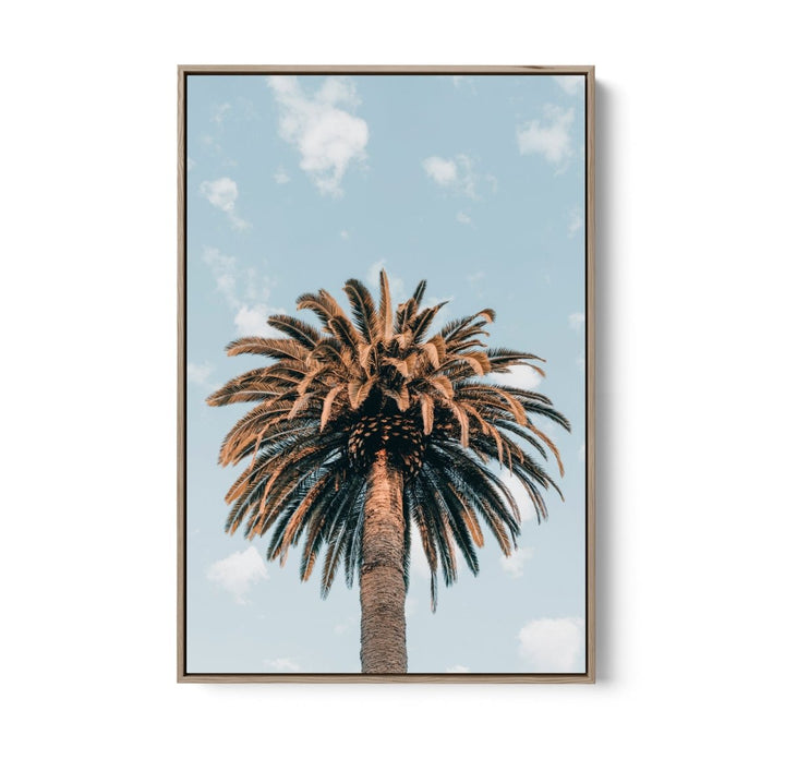 Palm Study XI - Coastal Photographic Art / Stretched Canvas Print - I Heart Wall Art - Poster Print, Canvas Print or Framed Art Print