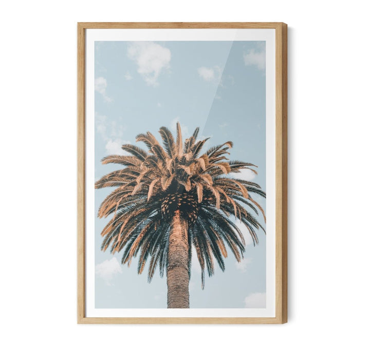 Palm Study XI - Coastal Photographic Art / Stretched Canvas Print - I Heart Wall Art - Poster Print, Canvas Print or Framed Art Print