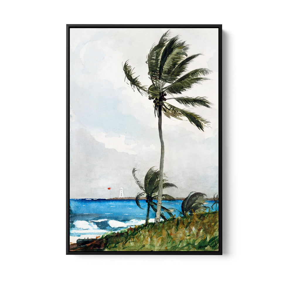 Palm Tree by Winslow Homer - Americana Historic Coastal Hamptons Stretched Canvas or Wall Art Print