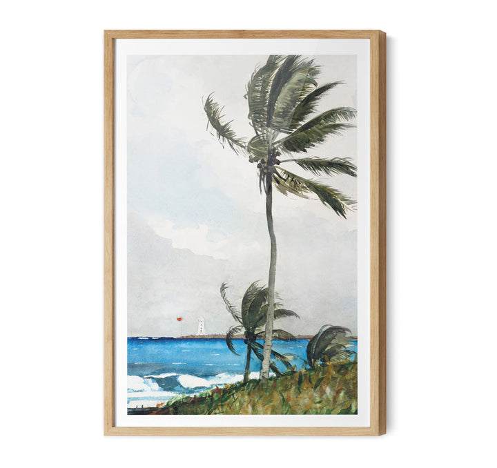 Palm Tree by Winslow Homer - Americana Historic Coastal Hamptons Stretched Canvas or Wall Art Print
