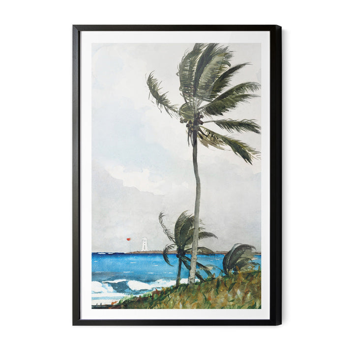 Palm Tree by Winslow Homer - Americana Historic Coastal Hamptons Stretched Canvas or Wall Art Print