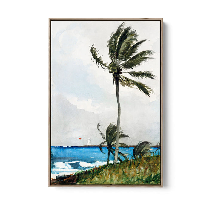 Palm Tree by Winslow Homer - Americana Historic Coastal Hamptons Stretched Canvas or Wall Art Print