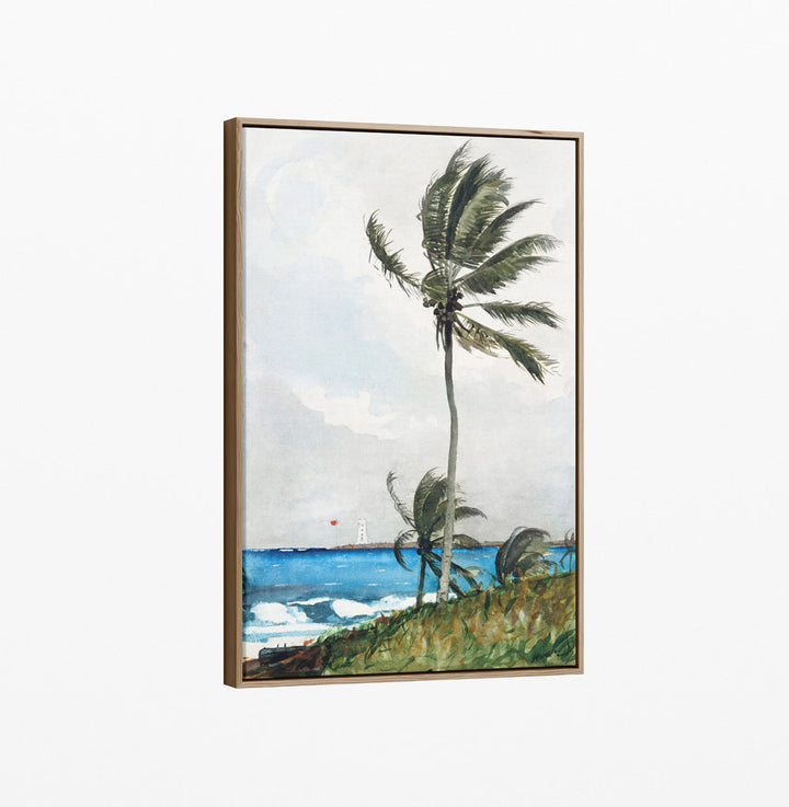 Palm Tree by Winslow Homer - Americana Historic Coastal Hamptons Stretched Canvas or Wall Art Print