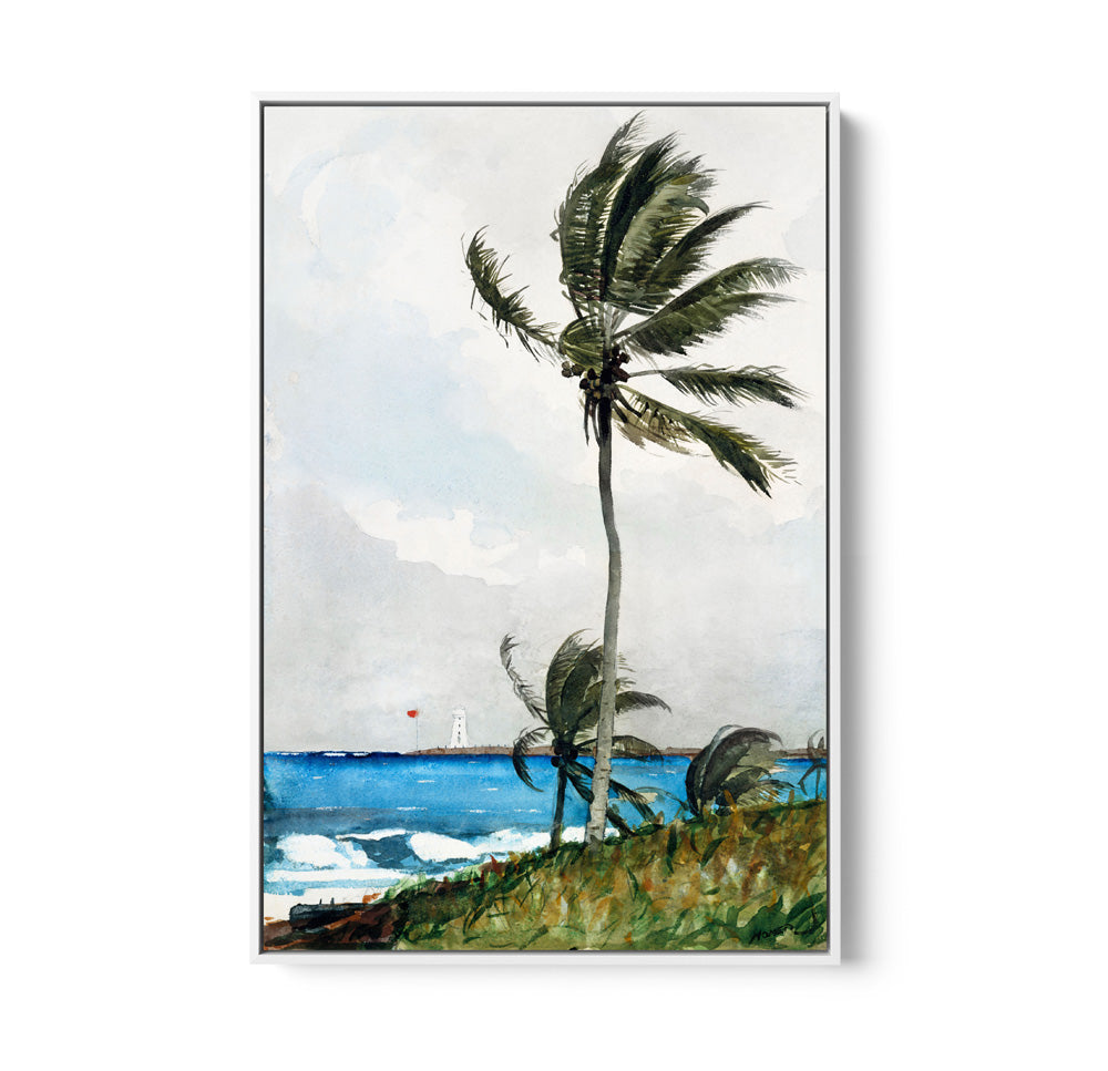 Palm Tree by Winslow Homer - Americana Historic Coastal Hamptons Stretched Canvas or Wall Art Print