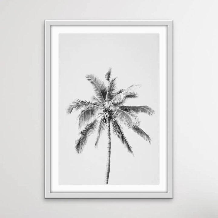 Palm Tree in Black And White - Tropical Photographic Black and White Art Print - I Heart Wall Art