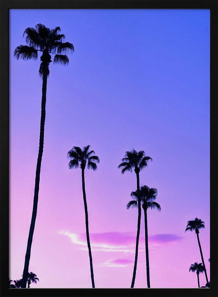 Palm Tree Sunset - Stretched Canvas, Poster or Fine Art Print - I Heart Wall Art - Poster Print, Canvas Print or Framed Art Print