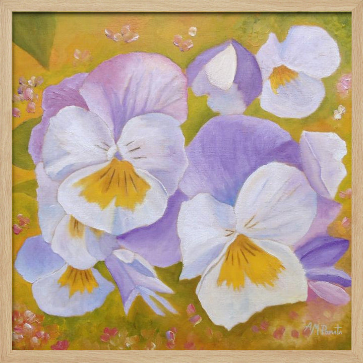 Pansies - Square Stretched Canvas, Poster or Fine Art Print I Heart Wall Art