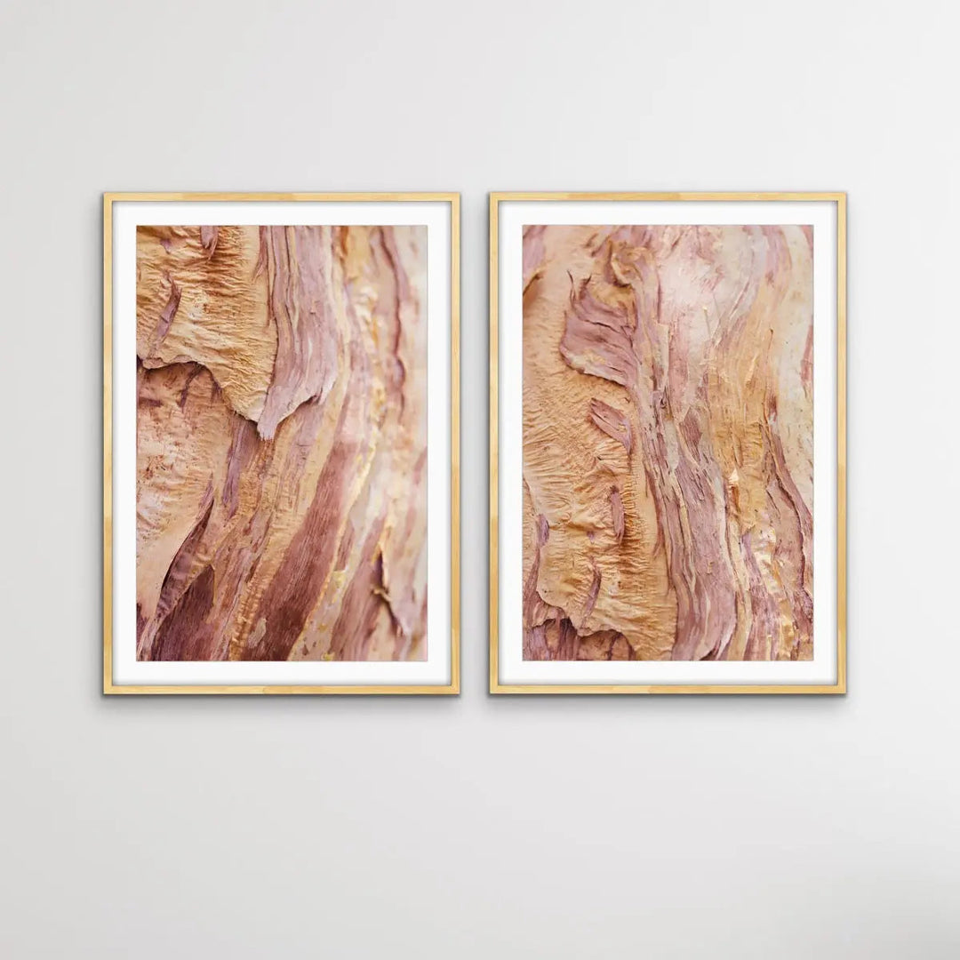 Paperbark- Two Piece Paperbark Tree Australian Nature Print Set - Nature Wall Art Diptych - I Heart Wall Art