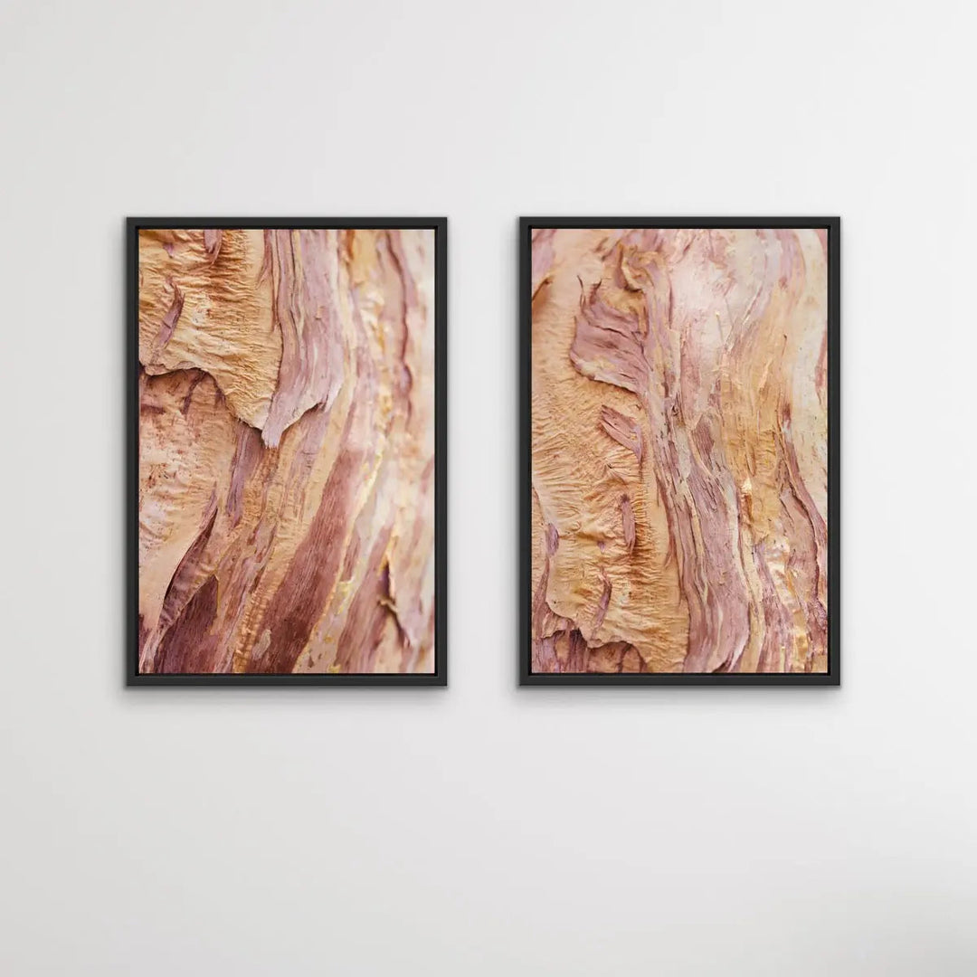 Paperbark- Two Piece Paperbark Tree Australian Nature Print Set - Nature Wall Art Diptych - I Heart Wall Art