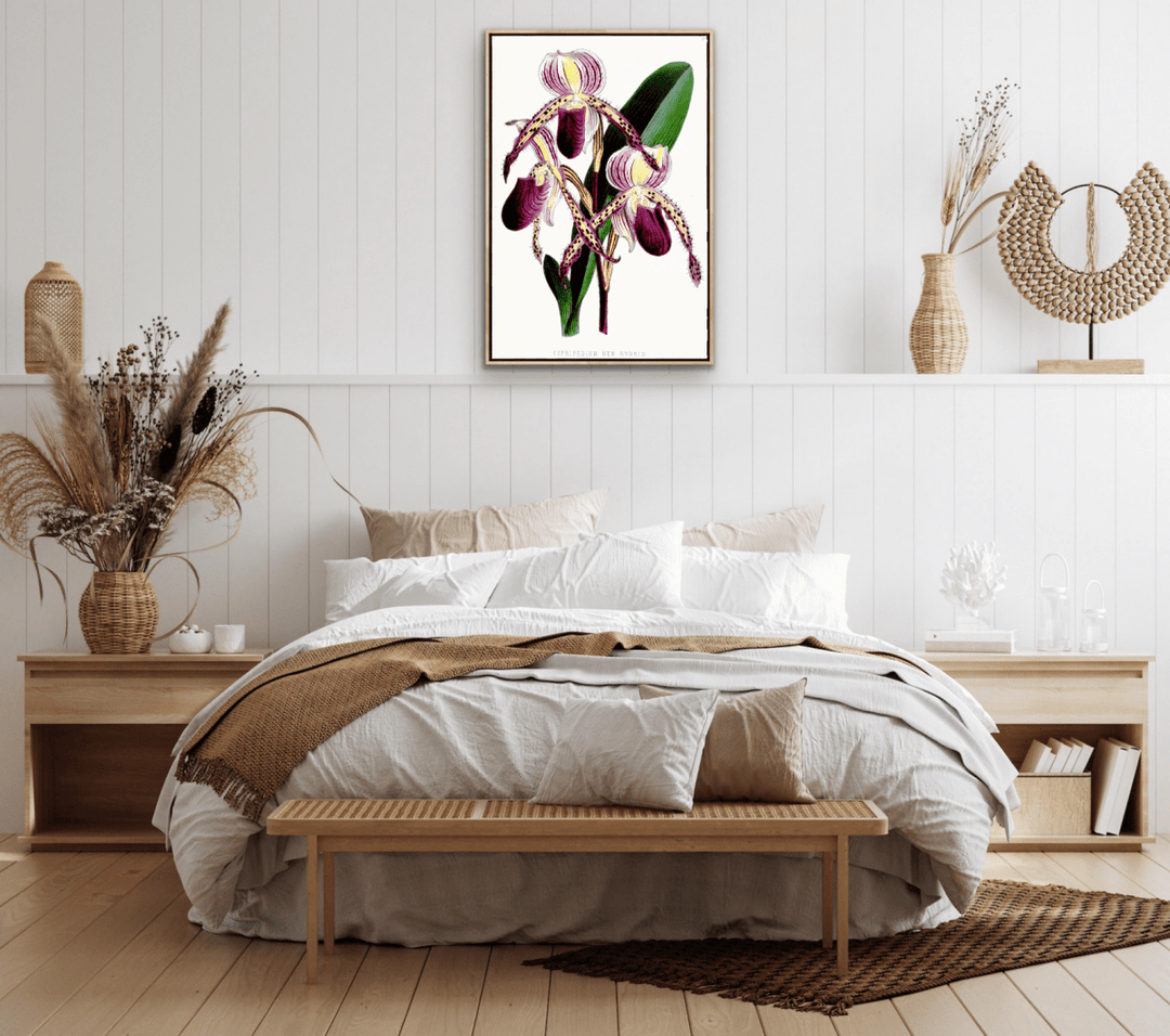 Paphiopedilum Stonei Orchid from The Floral Magazine (1861 - 1881) by Worthington G. Smith, John N. Fitch and Walter H. Fitch - Botanical Illustration Stretched Canvas or Wall Art Print - I Heart Wall Art - Poster Print, Canvas Print or Framed Art Print