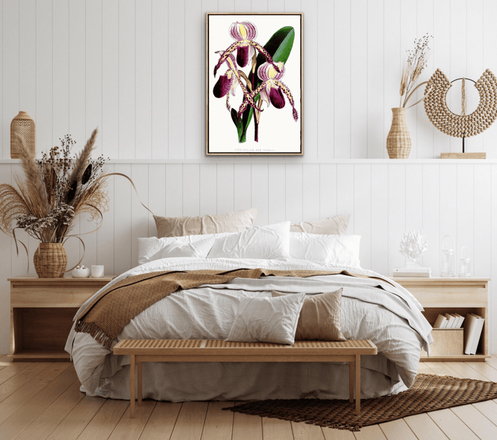 Paphiopedilum Stonei Orchid from The Floral Magazine (1861 - 1881) by Worthington G. Smith, John N. Fitch and Walter H. Fitch - Botanical Illustration Stretched Canvas or Wall Art Print - I Heart Wall Art - Poster Print, Canvas Print or Framed Art Print